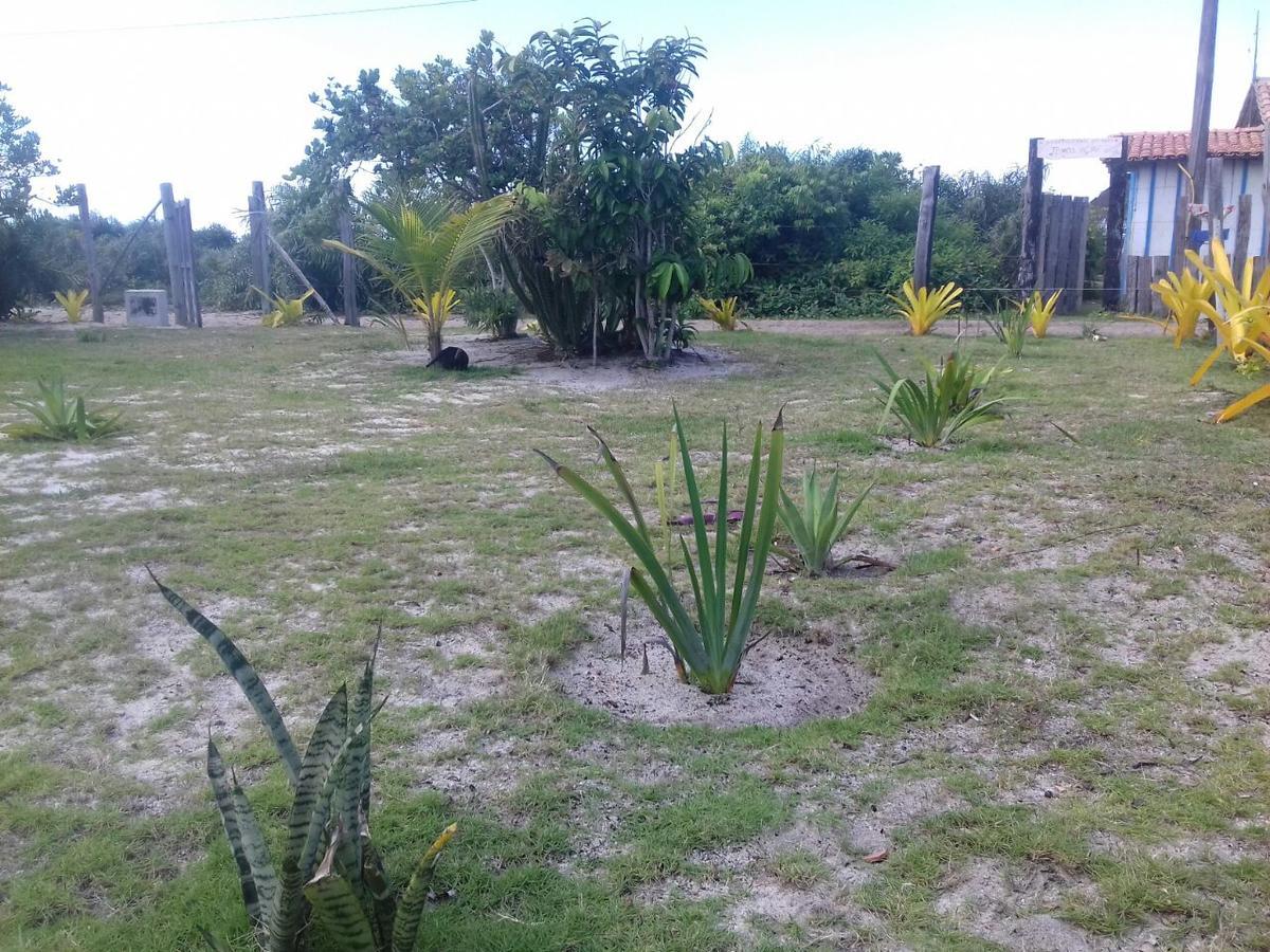 Sea breeze Villa Porto Seguro Exteriör bild